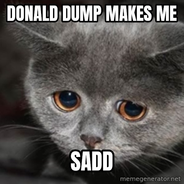 Sadcat meme: Donald dump makes me / Sadd