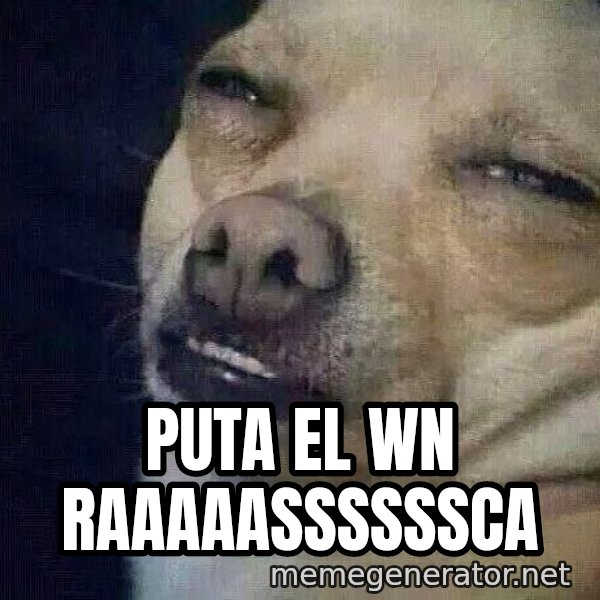Perro el ql mentiroso meme: Puta el wn RAAAAASSSSSSCA