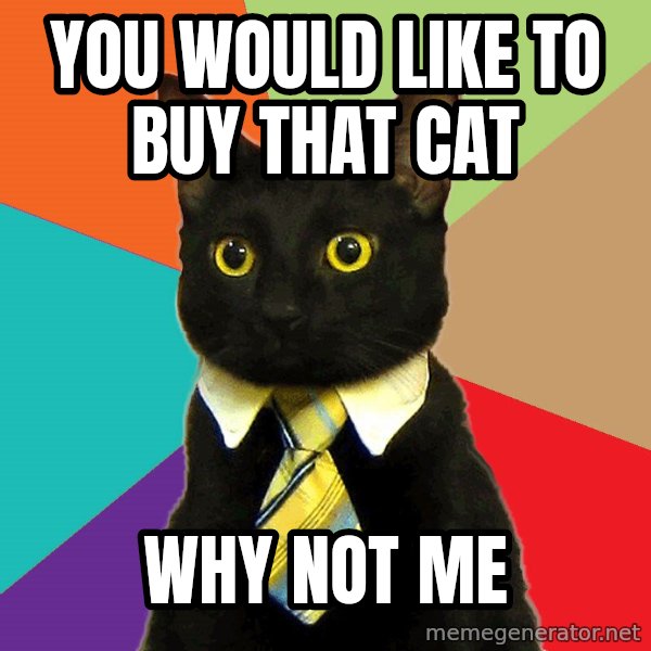 Business Cat meme: YOU WOULD LIKE TO BUY THAT CAT / WHY NOT ME
