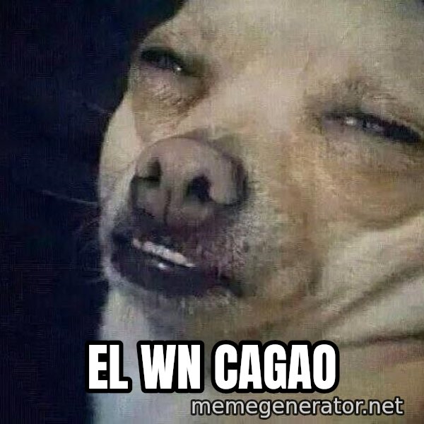 Perro el ql mentiroso meme: El wn cagao