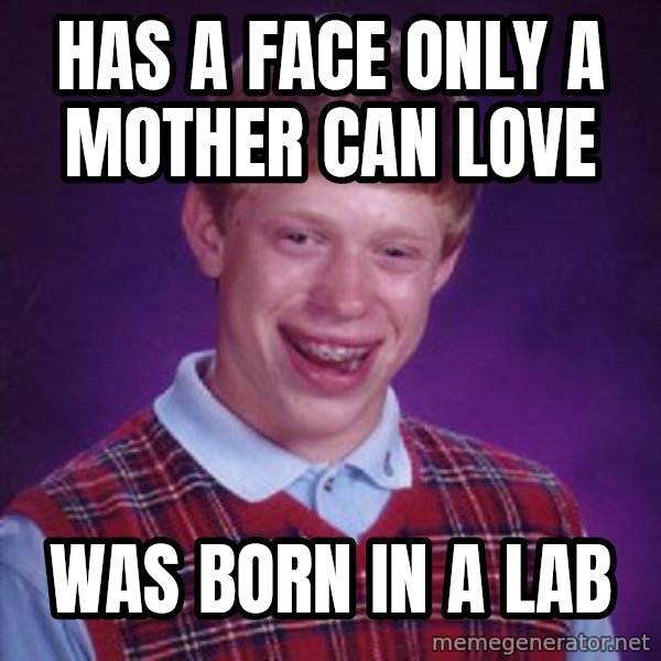 Bad Luck Brian meme: HAs A face only a mother can love / Was born in a lab