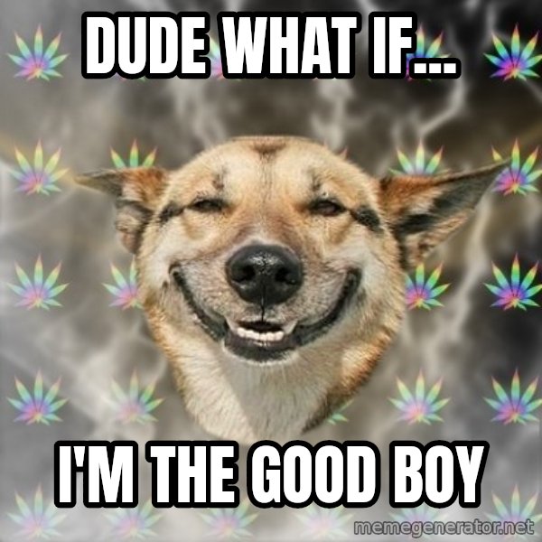 Stoner Dog meme: dude what if... / i'm the good boy