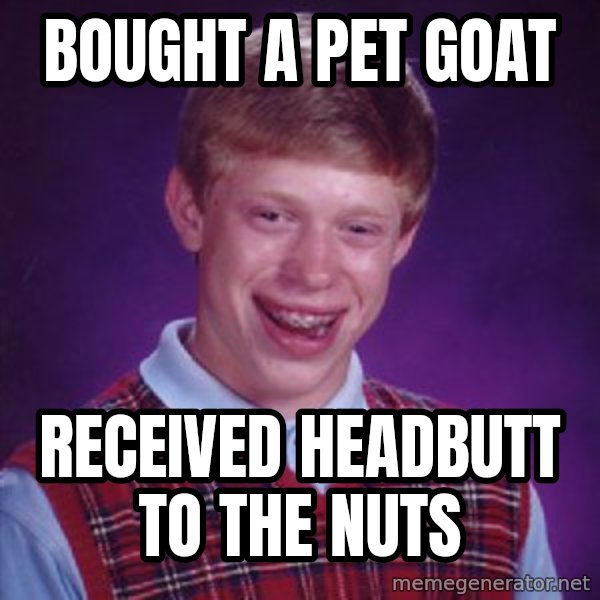 Bad Luck Brian meme: bought a pet goat / Received headbutt to the nuts