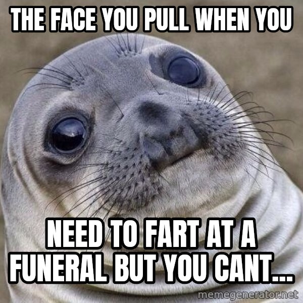 Awkward Seal meme: the face you pull when you / need  to fart at a funeral but you cant...