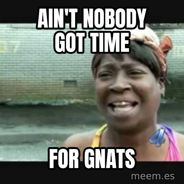 Sweet brown meme: Ain't nobody got time / for   gnats