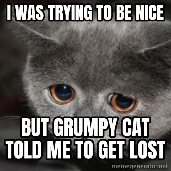 Sadcat meme: i was trying to be nice / but grumpy cat told me to get lost