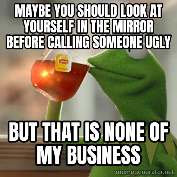 Kermit The Frog Drinking Tea meme: Maybe you should look at yourself in the mirror before calling someone ugly / But that is none of my business