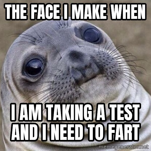 Awkward Seal meme: The face I make when / I am taking a test and I need to fart