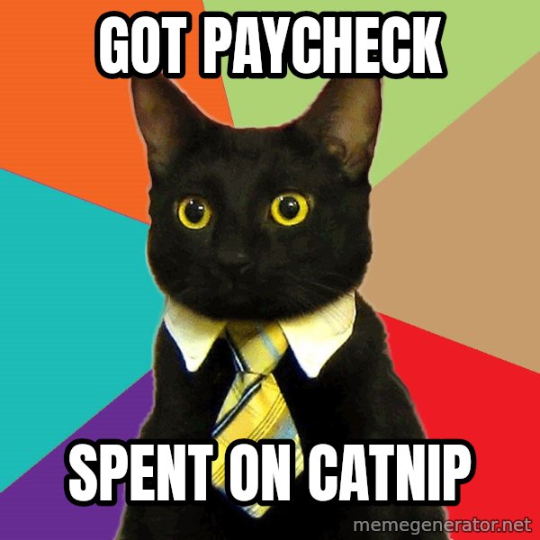 Business Cat meme: Got Paycheck / Spent on catnip