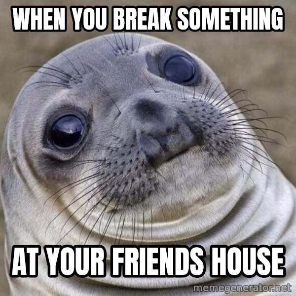 Awkward Seal meme: When yOu break something / At your friends house