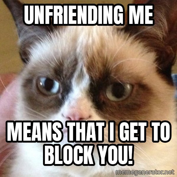 Angry Cat Meme meme: Unfriending me / Means That I get to Block You!