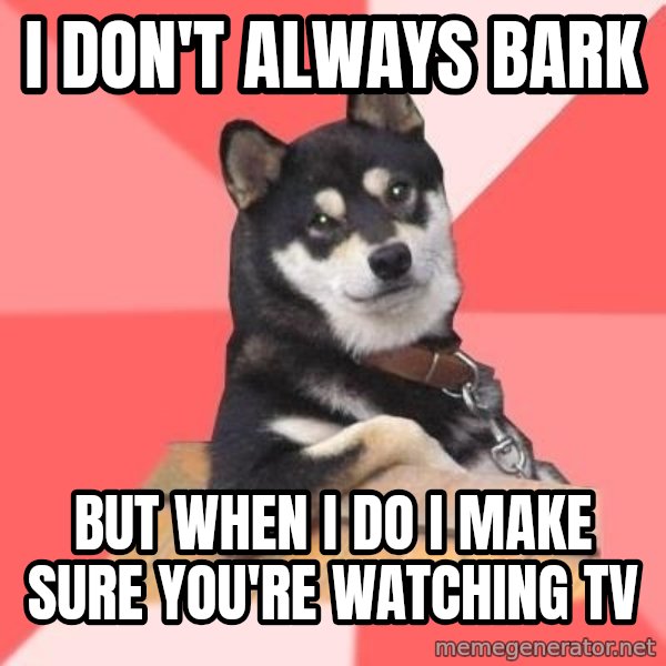 Cool Dog meme: I don't always bark / but when i do i make sure you're watching tv