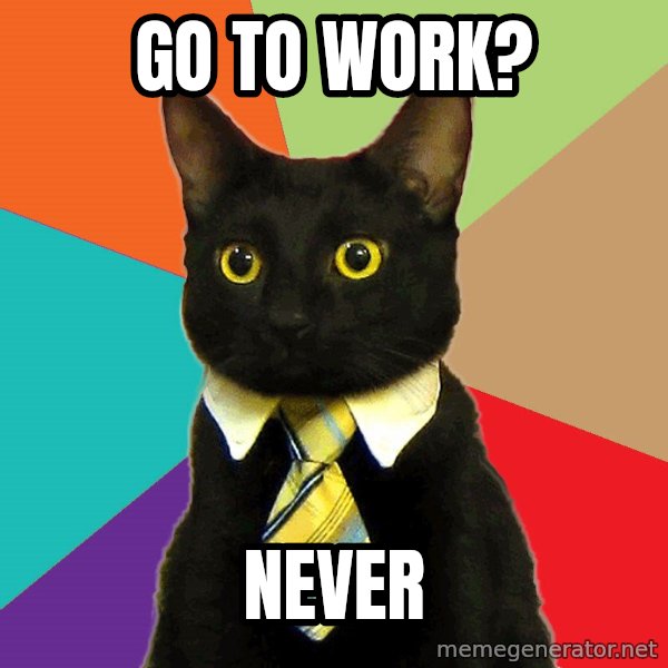Business Cat meme: Go to work? / never