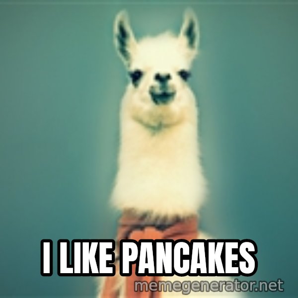 Pancakes llama meme: I like pancakes