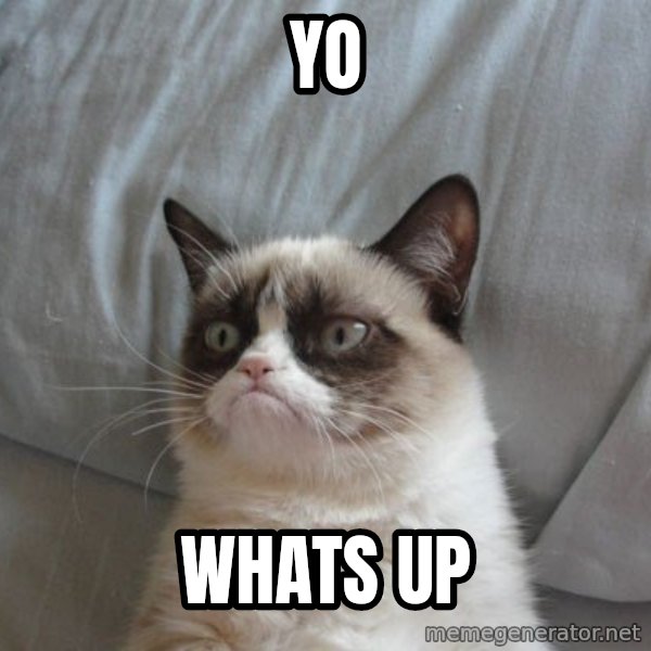 Grumpy cat good meme: Yo / Whats Up