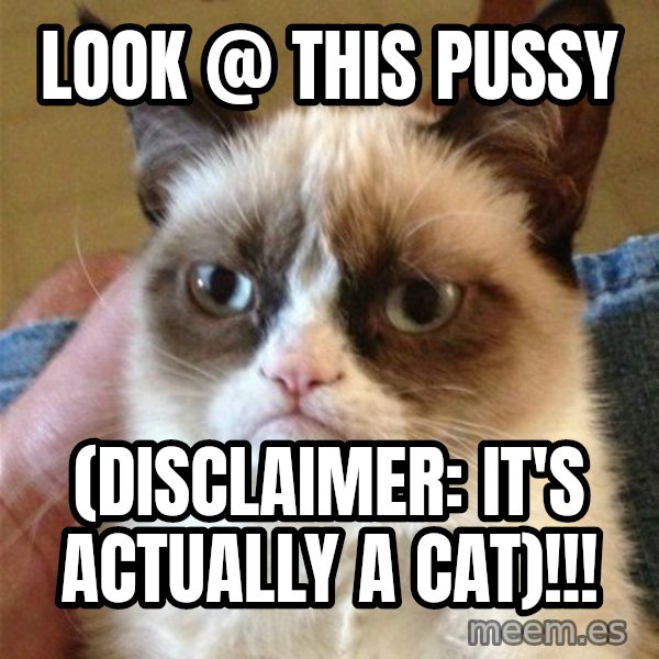 Grumpy Cat  meme: Look @ this pussy / (Disclaimer: It's actually a cat)!!!