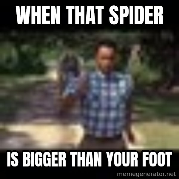 Forrest gump running meme: When that spider / is bigger than your foot