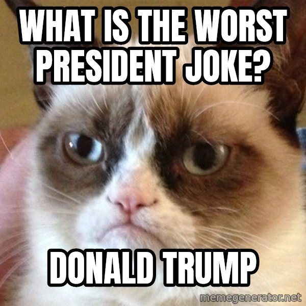 Angry Cat Meme meme: what is the worst president joke? / Donald Trump