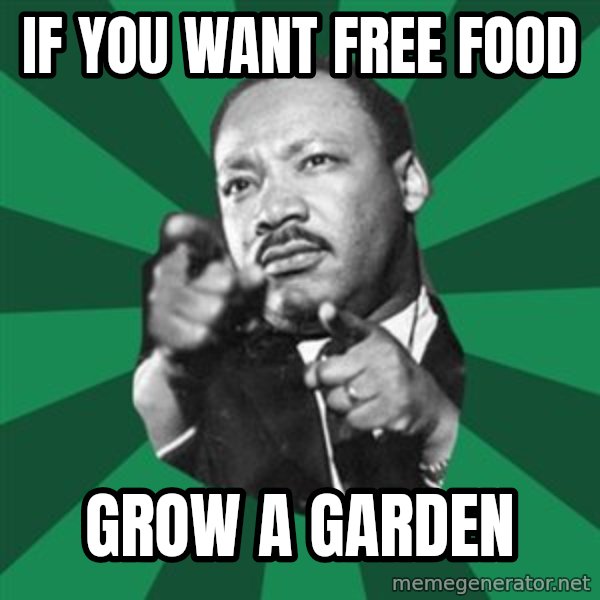 Martin Luther King jr.  meme: if you want free food / grow  a  garden