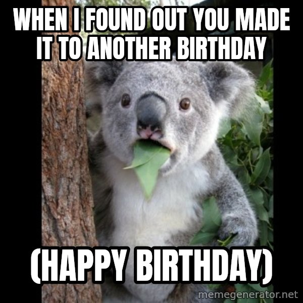 Koala can't believe it meme: When i found out you made it to another birthday / (happy birthday)