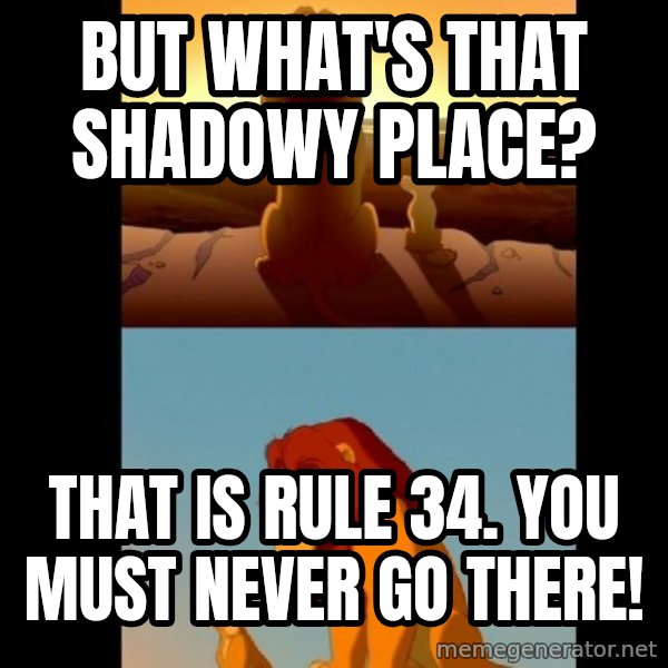 Lion King Shadowy Place meme: but what's that shadowy place? / That is rule 34. YOU MUST NEVER GO THERE!