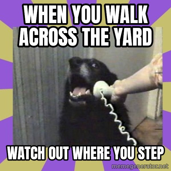 Yes, this is dog! meme: when   you walk  across the yard / watch out where you step