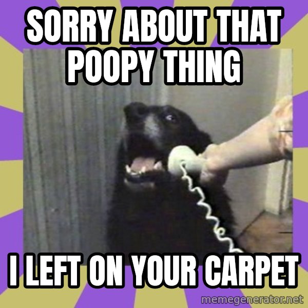 Yes, this is dog! meme: sorry about that poopy  thing / i  left on your carpet