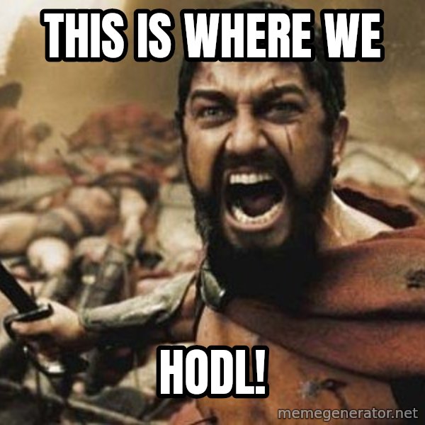 300 meme: This Is Where we / Hodl!