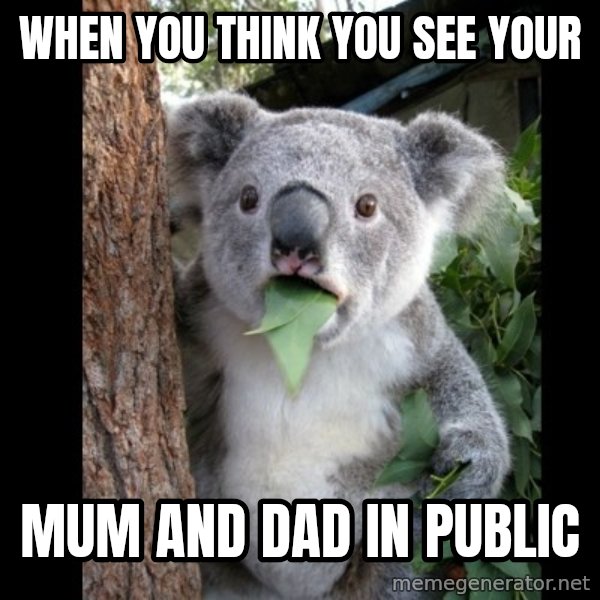 Koala can't believe it meme: When you think you see your / Mum and dad in public