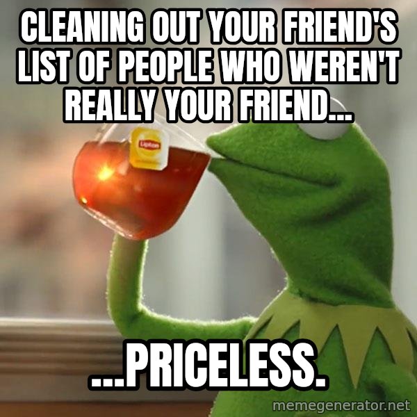 Kermit The Frog Drinking Tea meme: CleaNing ouT your friend's list of people who weren't really your friend... / ...prIceless.