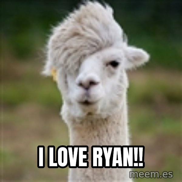 Hipster Llama meme: I Love Ryan!!