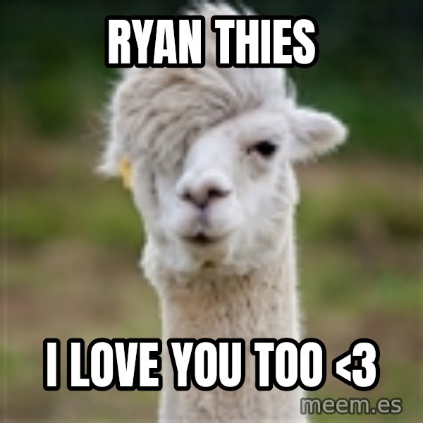 Hipster Llama meme: Ryan Thies / I love you too <3