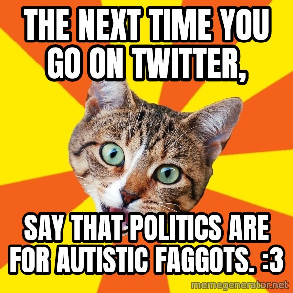 Bad Advice Cat meme: The next time you go on Twitter, / Say that politics are for autistic faggots. :3