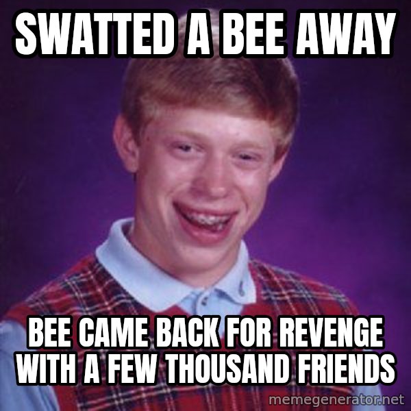 Bad Luck Brian meme: swatted a bee away / bee came back for revenge with a few thousand friends
