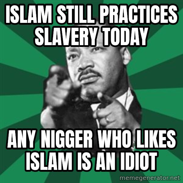 Martin Luther King jr.  meme: islam still practices slavery today / any nigger who likes islam is an idiot