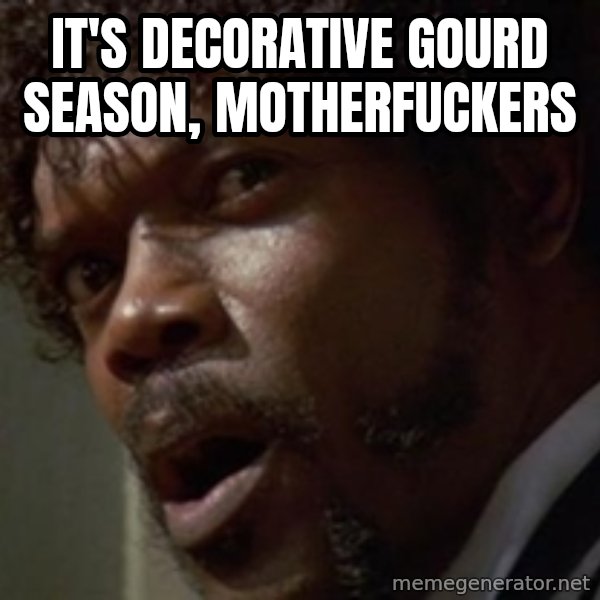 Angry Samuel L Jackson meme: it's decorative gourd season, motherfuckers