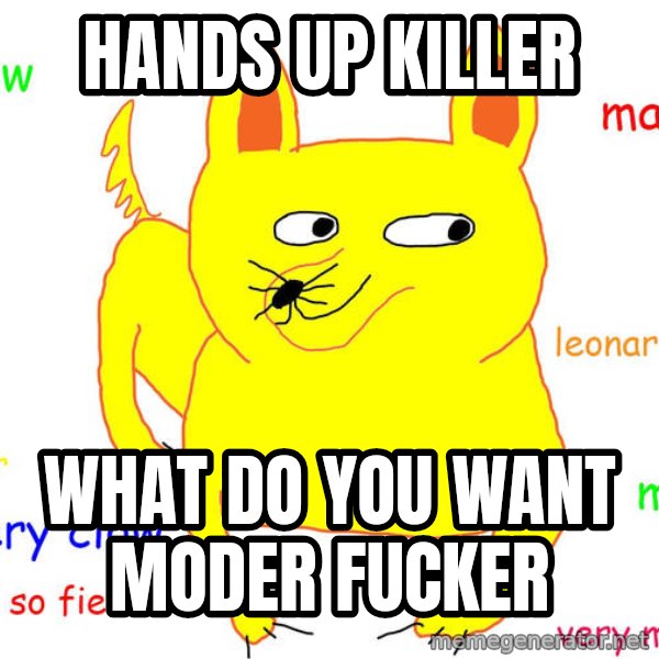 Grumpy Cat  meme: hands up killer / what do you want moder fucker