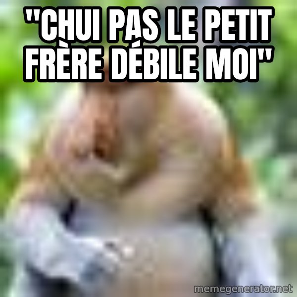 Nosacz Sundajski 22 meme: "CHUI PAS LE PETIT FRÈRE DÉBILE MOI"