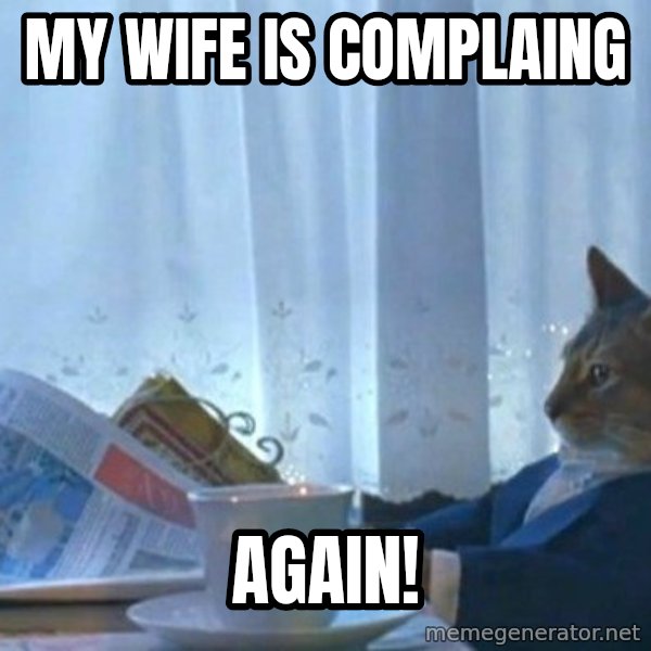 newspaper cat realization meme: my wife is complaing / again!