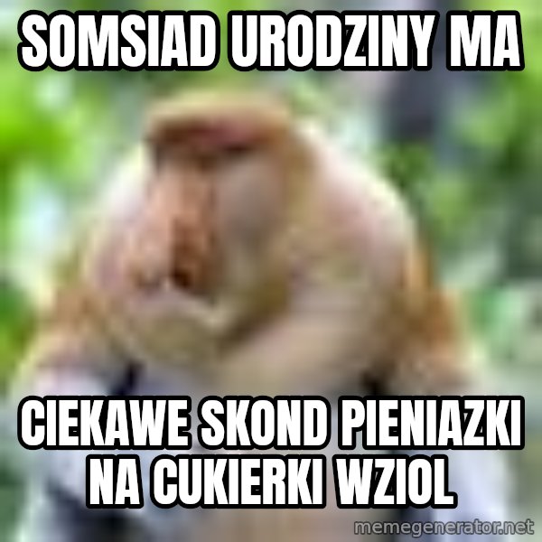 Nosacz Sundajski 22 meme: somsiad urodziny ma / ciekawe skond pieniazki na cukierki wziol