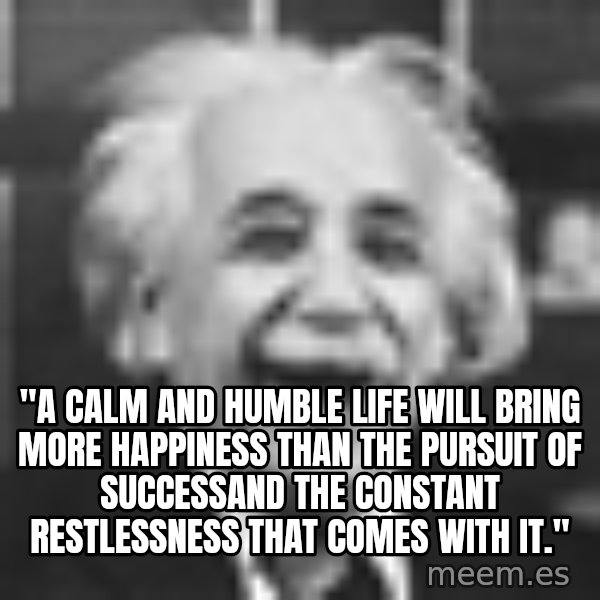 Einstein Laugh meme: "A calm and humble life will bring more happiness than the pursuit of successand the constant restlessness that comes with it."