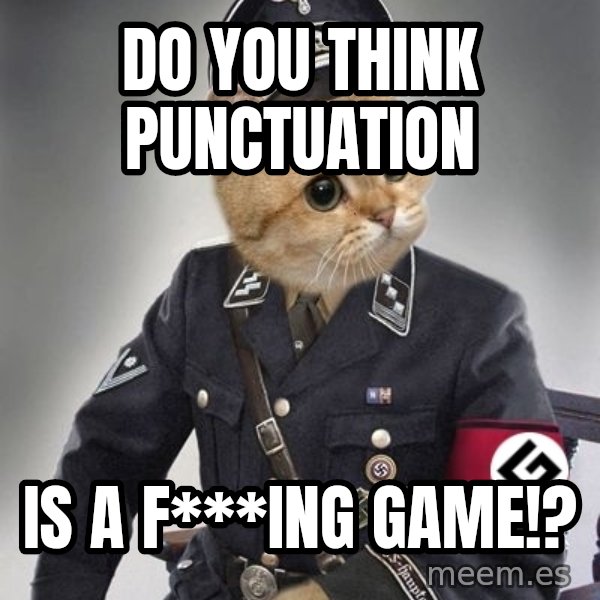 Nazi Cat meme: do you think punctuation / is a f***ing game!?