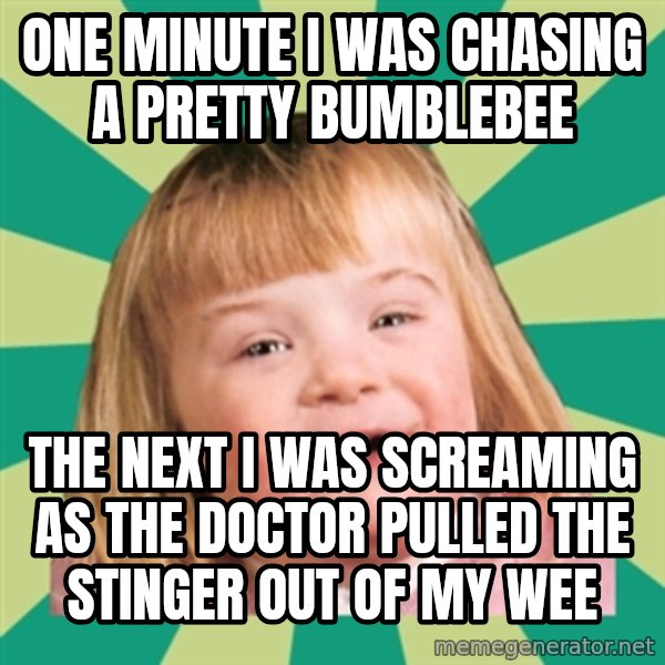 Retard girl meme: One minute i was chasing a pretty Bumblebee / The next i was screaming as the doctor pulled the stinger out oF my wee