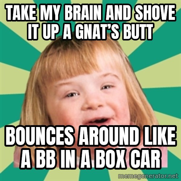 Retard girl meme: Take my brain and shove it uP a gnat’s butt / Bounces around like a bb in a box car