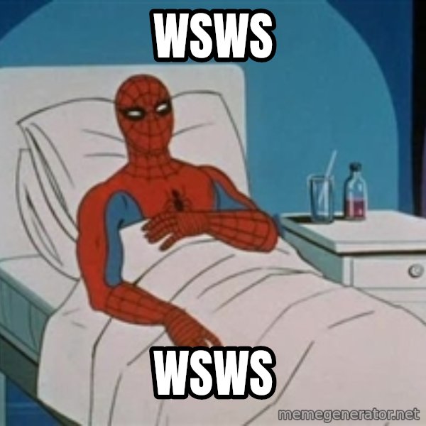 spiderman hospital meme: wsws / wsws