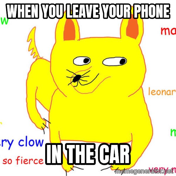 Grumpy Cat  meme: When you leave your phone / in the car