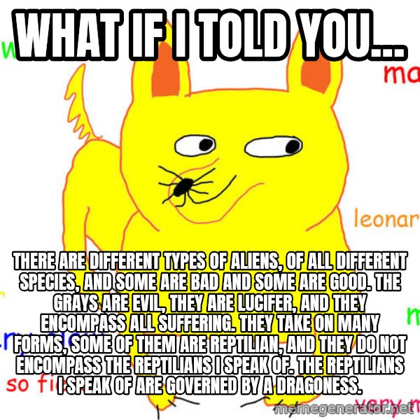 What If I Told You meme: What if I told you... / There are different types of aliens, of all different species, and some are bad and some are good. The grays are evil, they are lucifer, and they encompass all suffering. They take on many forms, some of them are reptilian, and they do not encompass the reptilians I speak of. The reptilians I speak of are governed by a Dragoness.