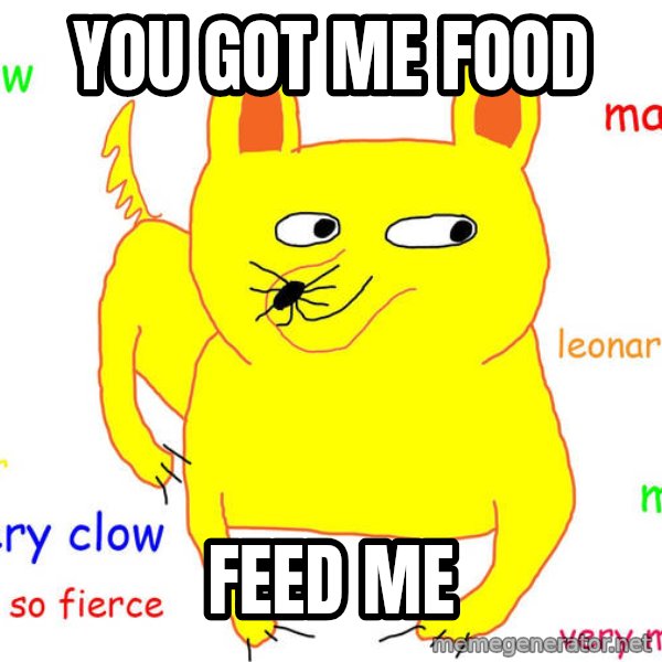 Grumpy Cat  meme: you got me food / feed me