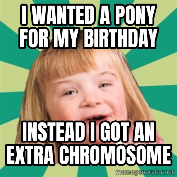 Retard girl meme: I wanted a pony for my birthday / Instead I got an extra chromosome
