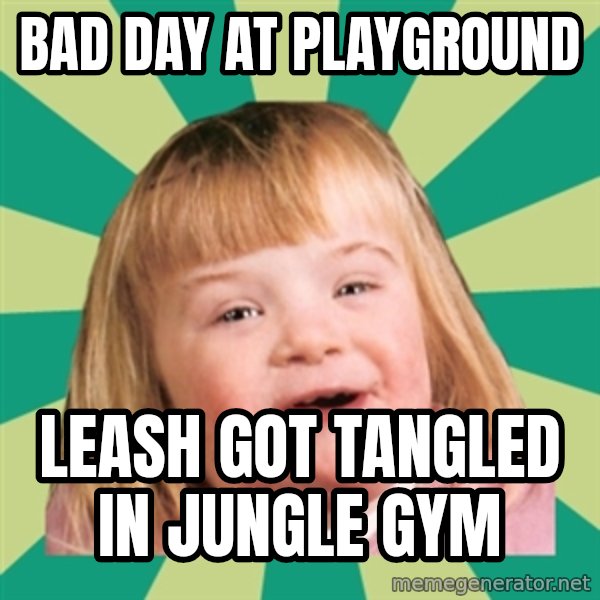 Retard girl meme: Bad day at playground / Leash got tangled in jungle gym